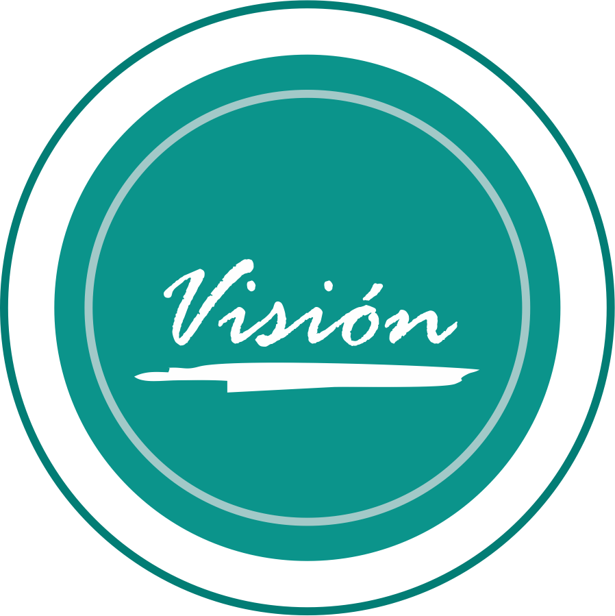 vision6